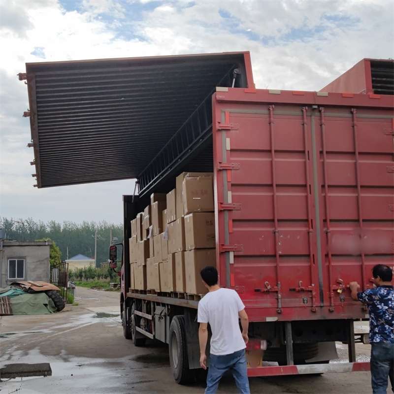 鱼峰区扎囊县：物流专线的高效货运之旅